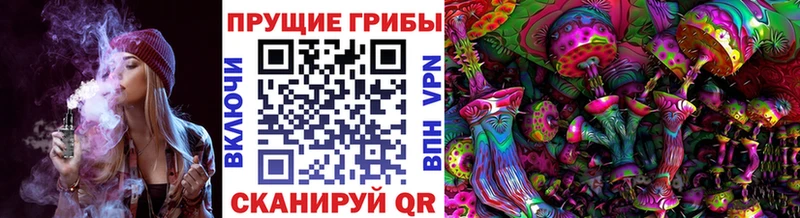 Псилоцибиновые грибы прущие грибы  даркнет клад  Северодвинск 