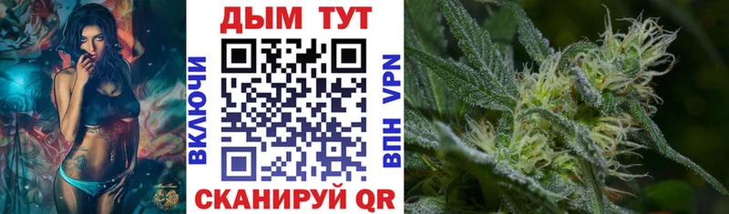 где можно купить наркотик  Северодвинск  МАРИХУАНА THC 21% 